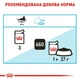 Вологий корм Royal Canin Urinary Care для котів для підтримки здоров'я сечовивідної системи 85 г (9003579000366) - зображення 5