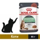 Вологий корм Royal Canin Digest Sensitive для котів з чутливим травленням 85 г (9003579309537) - зображення 1