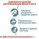 Влажный корм Royal Canin Hairball Care для кошек 85 г (9003579000410) - изображение 3