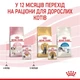 Влажный корм Royal Canin Kitten Instinctive in Jelly для котят 85 г (9003579311714) - изображение 4