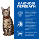 Сухий корм для дорослих котів Hill's SCIENCE PLAN Adult, з куркою, 15 кг - зображення 2