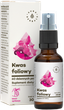 Aura Herbals Kwas Foliowy 30 ml Ciąża (5902479610559) - obraz 1