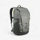 Туристический Рюкзак QUECHUA 30л 56 x 26 x 20 см Серый - изображение 1