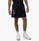 Шорти Air Jordan M J Ess Ssnl Short Black FN4647-010 M - зображення 1