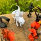Игровой набор Heroes Как приручить Дракона 8 шт 5-10 см How to Train Your Dragon Игрушки Викинги - игрушки - фигурки - изображение 12