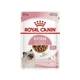 Вологий корм для кошенят Royal Canin Kitten Gravy 85 г - изображение 1