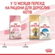 Сухий корм для кошенят Royal Canin Kitten 4 кг - изображение 6