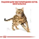 Сухий корм для котів Royal Canin Bengal Adult 2 кг - изображение 3