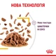 Вологий корм для котів Royal Canin Sensory Taste Sauce 85 г - изображение 5