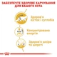 Упаковка вологого корму для котів Royal Canin Maine Coon Adult Gravy 9+3 шт х 85 г - изображение 3