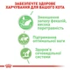 Вологий корм для котів з чутливим травленням Royal Canin Digest Sensitive Gravy 85г, 9+3 шт. - зображення 3