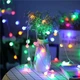 Светодиодная гирлянда "Шарики" 20 LED, 5м + переходник, 220V, IP44, Мультиколор - изображение 1