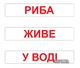 Набір Вундеркінд з пелюшок Читання за Доманом 120 слів українською мовою (363) (2100064095665) - зображення 5