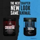 Креатин Universal Animal Creatine 300caps - изображение 2
