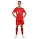 Форма футбольная детская с символикой футбольного клуба LIVERPOOL домашняя 2024 SP-Sport CO-7190 (PL, р XL-30, рост 155-165см, красный) - изображение 3