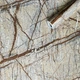 Самоклеющаяся пленка Sticker Wall бежевый мрамор 0,45х10мх0,07мм SW-00001278 - изображение 1