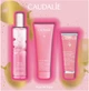 Zestaw kosmetyków do pielęgnacji Caudalie Rose de Vigne Xmas Krem do rąk 30 ml + Żel pod prysznic 50 ml + Woda orzeźwiająca 50 ml (3522933028144) - obraz 1