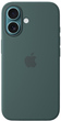 Чохол Apple iPhone 16 Silicone Case MagSafe Lake Green (MYY83) - зображення 1