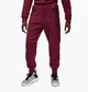 Штаны Air Jordan 23 Engineered Statement Joggers Bordo DV1599-680 XL - изображение 1