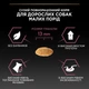 Сухой корм для собак малых пород с лососем Purina Pro Plan Small & Mini Sensitive Skin 3 кг - изображение 7
