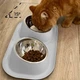 Миска стальная 2 шт для собак/ кота на пластиковой наклонной подставке Double Bowl GWL-28 серая (GS-149126) - изображение 10
