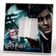 Декоративное зеркало "Герои фильма Гарри Поттер. Harry Potter" украшение для любителей кино, тв сериалов, в спальню, комнату - изображение 2