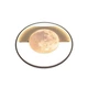 Світлодіодна люстра з пультом Ardero AL6105ARD MOONLIGHT 70Вт 3000-6500К IP20 (80252) - зображення 5