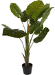 Sztuczna roślina Pure Garden & Living Botanical Decoration alocasia wentii doniczkowa zielona (8720573217927) - obraz 1