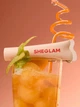 Бальзам блеск для губ Sheglam Crystal Glaze Moisturizing Lip Care оттенок Melon Pop, 10 мл - изображение 9