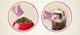 Мальт паста Beaphar Duo Malt Paste с двойным действием для хорьков 100 г (10280) (8711231102808) - изображение 2