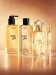 Парфумована вода для жінок Victoria's Secret Angel Gold 50 мл (667553169914) - зображення 3