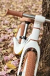 Беговел Mima Zoom Lite white/camel, MI-TA3-01W - изображение 8