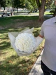 Мыльный букет из 35 роз белый,букет из натурального мыла на 14 февраля, 8 марта, день рождения - изображение 7