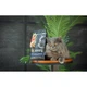 Сухой корм для кошек Savory Adult Cat Gourmand Fresh Salmon and White Fish со свежим лососем и белой рыбой 2 кг (30020) - изображение 3