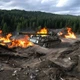 3D Пазл Конструктор Из Дерева Механический TimberBricks САУ Пион 730 деталей! - изображение 8