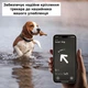 Силиконовый защитный чехол - брелок для трекера Apple Airtag с креплением на ошейник собаки / кота, черный "P" (90367156) - изображение 3