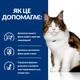 Hill’s Prescription Diet w/d Вологий корм для котів при цукровому діабеті та для контролю ваги, з куркою, 85 г х 12 шт - изображение 3