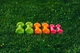 Набір гантелей в кейсі 6 кг. PowerPlay 4103 Fitness Dumbells (2шт.*0,5кг. 2шт.*1кг. 2шт.*1,5кг.) - зображення 9