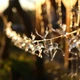 Гирлянда-штора светодиодная новогодняя от сети Олени на 10 LED 3 м желтая (132-81-9133-027) - изображение 2