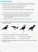 Біологія і Екологія, 10 кл., Робочий зошит. Рівень стандарту - 0 - РАНОК (124923) - зображення 5