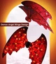 Электрические крылья ангела с музыкой и светом Красные Shadow Angel - изображение 4