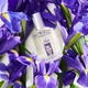 Парфуми Ірис Iris L'ERBOLARIO 50 мл 8022328107317 - зображення 2
