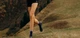 Высокотехнологические беговые безшовные носки Compressport Pro Racing Socks V4.0 Trail, Purple/Grape, T1 (35-38) - изображение 4