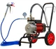 Мембранный окрасочный аппарат Profter DF-1000 (3.5л./мин. 2200Вт.) - изображение 2