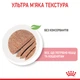 Влажный корм Royal Canin Babycat Instinctive Cans для котят и беременных кошек 195г - изображение 5