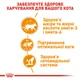 Вологий корм для котів Royal Canin Care Hair & Skin 85 г - изображение 3