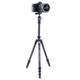 Штатив Vanguard Vesta TB 204CB (Vesta TB 204CB) - изображение 2