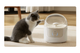 Поїлка CATLINK AI Water Fountain - Pure 1 (6972884750149) - зображення 5