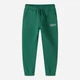 Детские теплые спортивные штаны-джоггеры для мальчика Minoti 19fleece82 41361JNR 92-98 см Зеленые (5063025360547) - изображение 3