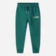 Детские теплые спортивные штаны-джоггеры для девочки Minoti 20fleece47 41396JNR 98-104 см Зеленые (5063025363913) - изображение 3